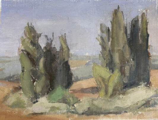 Valley of springs