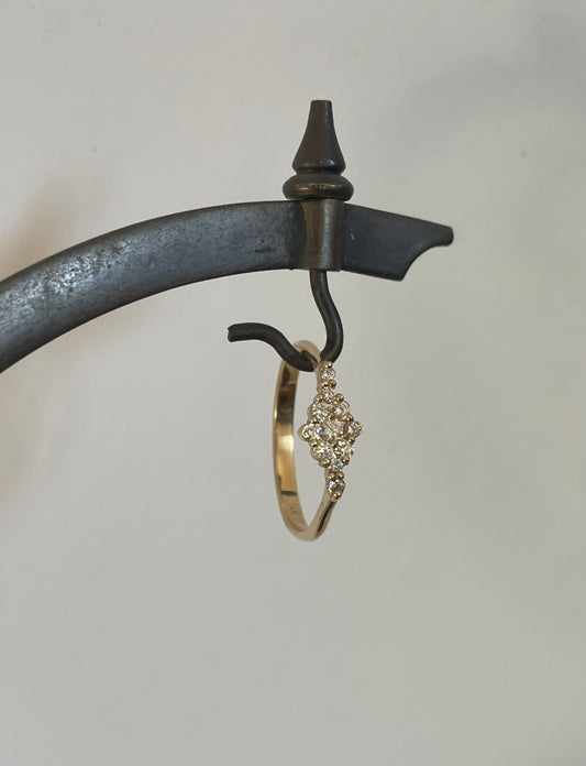 PARIS RING
